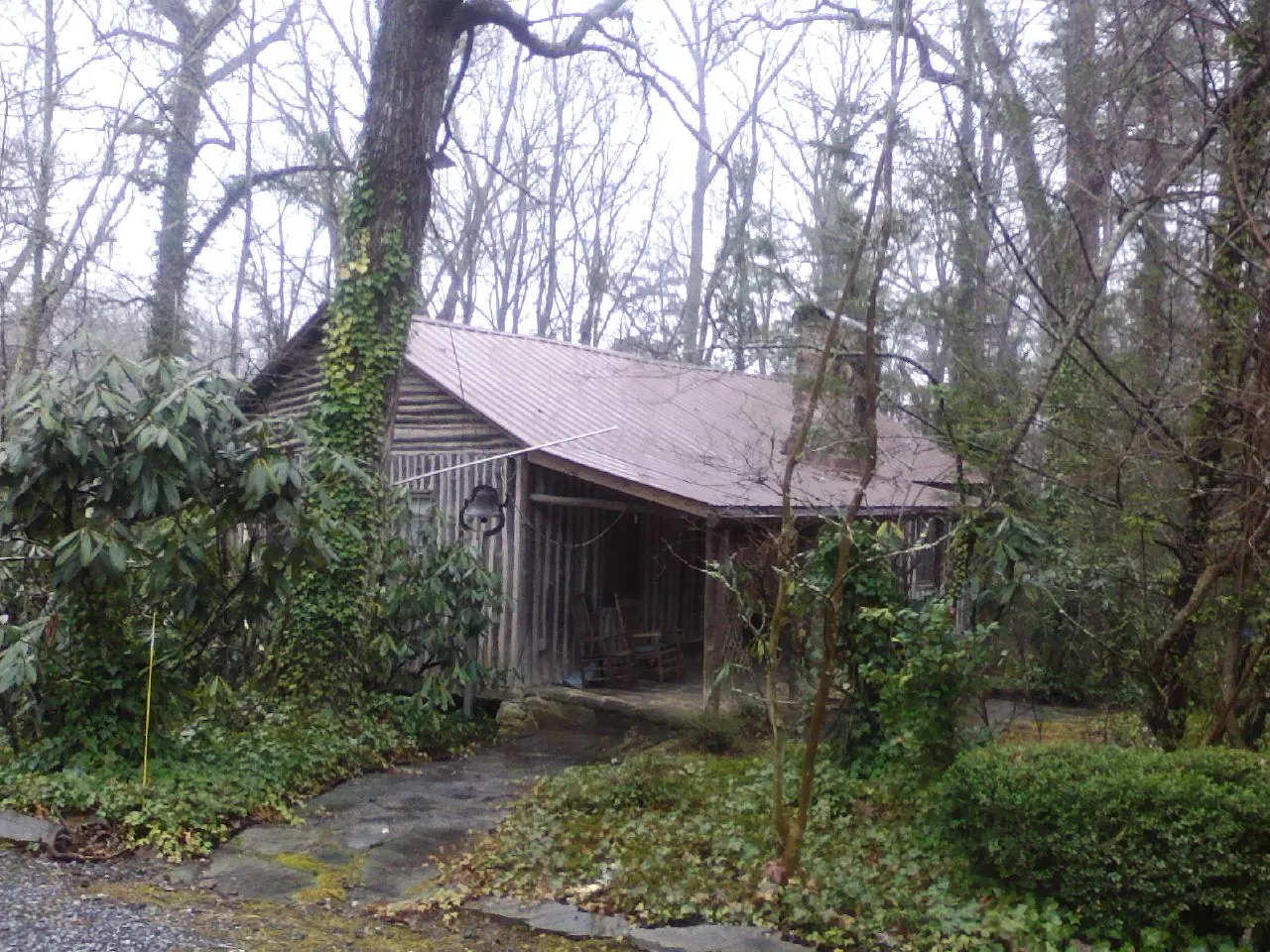 Weathered metal roof on an old board sided cabin in the woods in Umatilla