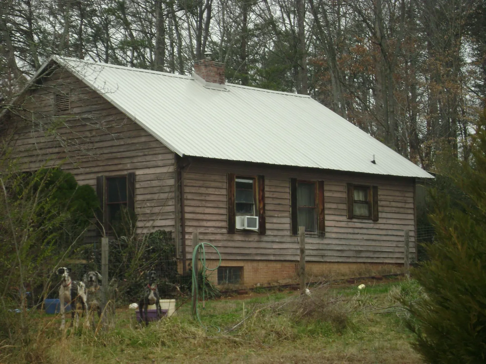 White metal roof on an old wood sided farmhouse, from a Asphalt Shingle Roof Repair job in Umatilla
